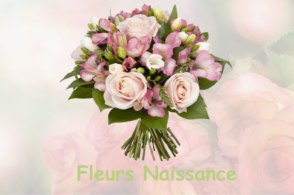 fleurs naissance GIBEL